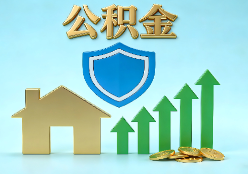 湛江当前住房公积金提取条件分类指南与政策趋势